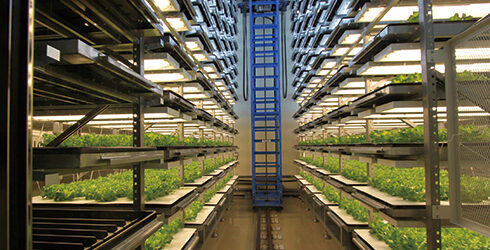 大阪府立大学植物工場研究センター