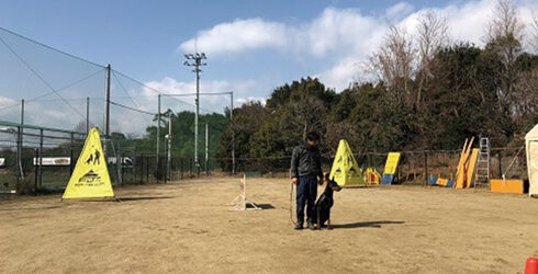 ドッグウォーキング®
