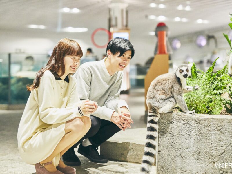 Nifrel ニフレル 大阪修学旅行ログ