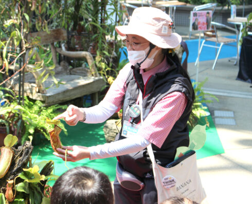 咲くやこの花館