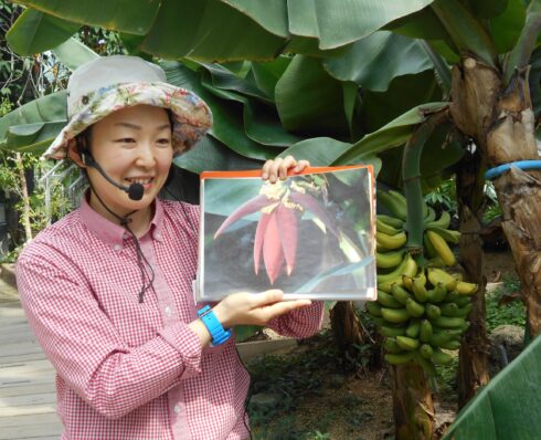 咲くやこの花館