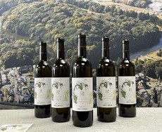 都市型ワイン飛鳥ワイン（河内産ワイン）のブランディング戦略から学ぶまちの魅力作りプログラム